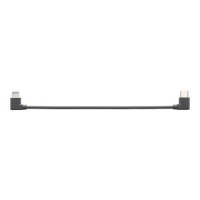 DJI Phone Charging/Audio Recording (USB-C to Light