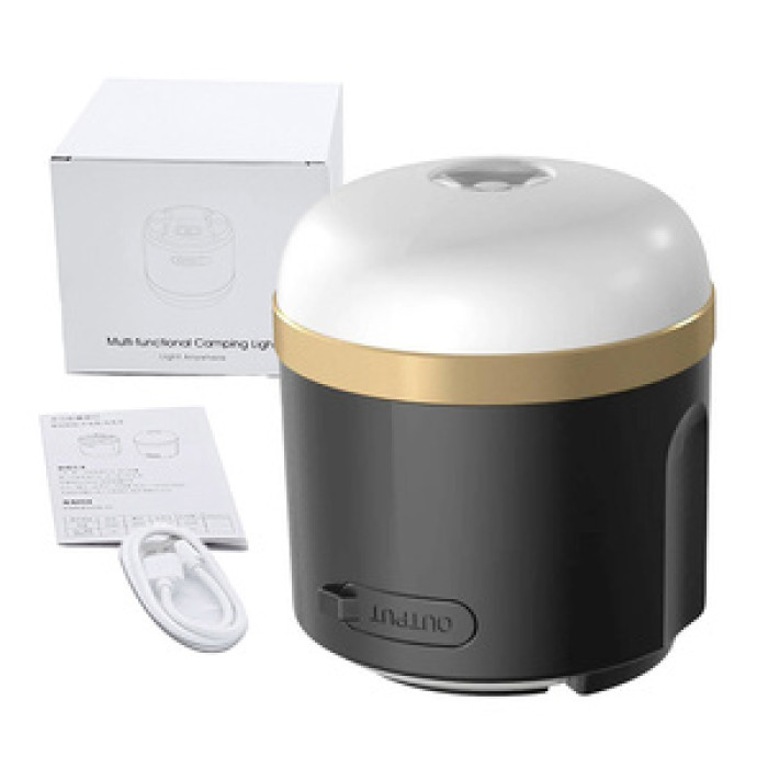 EcoFlow Camping Light (N)