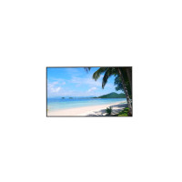 MONITOR DAHUA LM49-S400