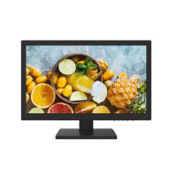 MONITOR 19