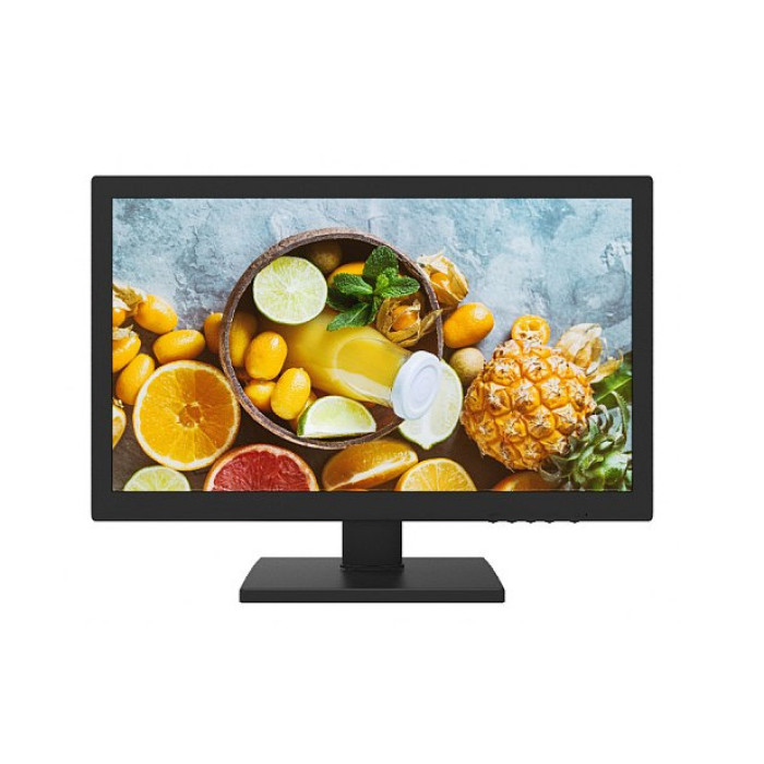 MONITOR 19