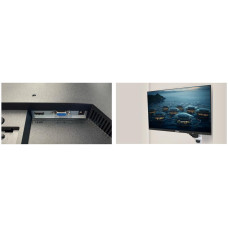Monitor 22