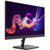 Monitor Hikvision DS-D5024F2-AP2