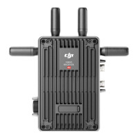 Odbiornik wideo DJI Video Receiver - uniwersalny